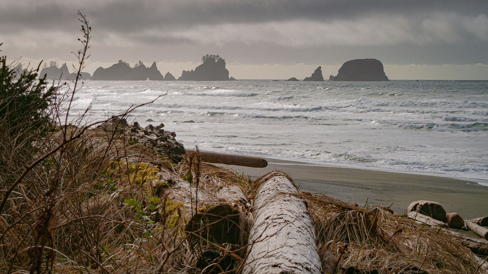 Shi Shi Beach, Olympic National Park