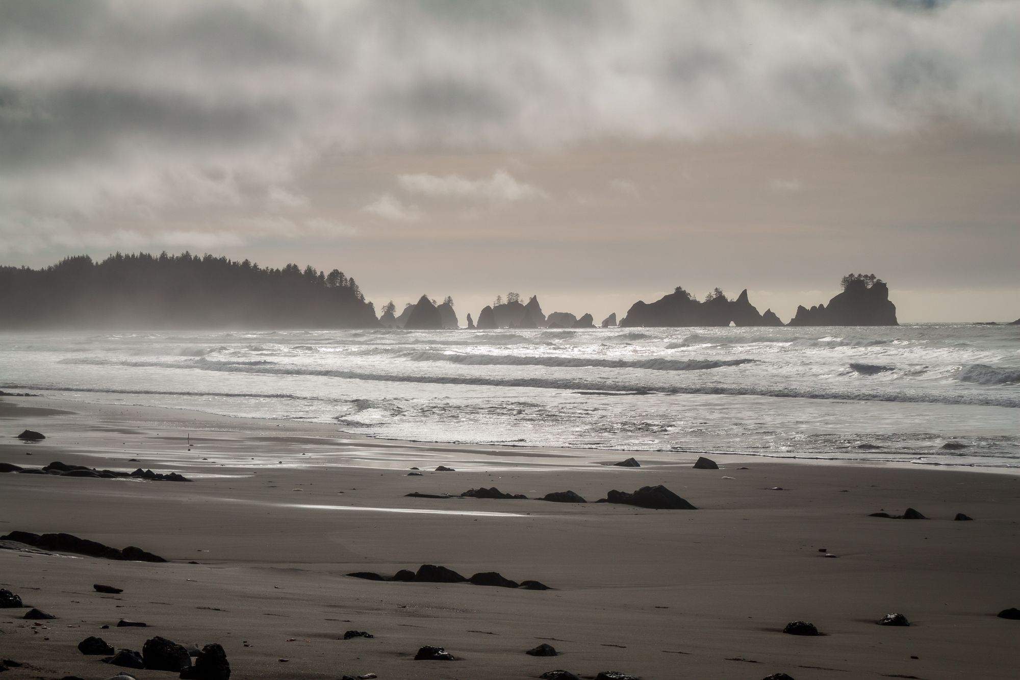 Shi Shi Beach, Olympic National Park