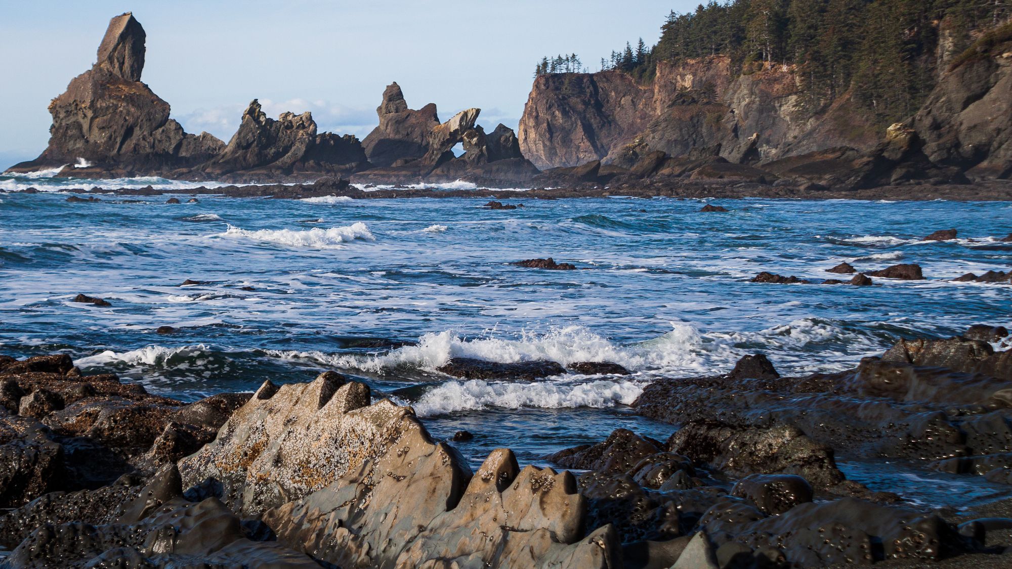 Shi Shi Beach, Olympic National Park