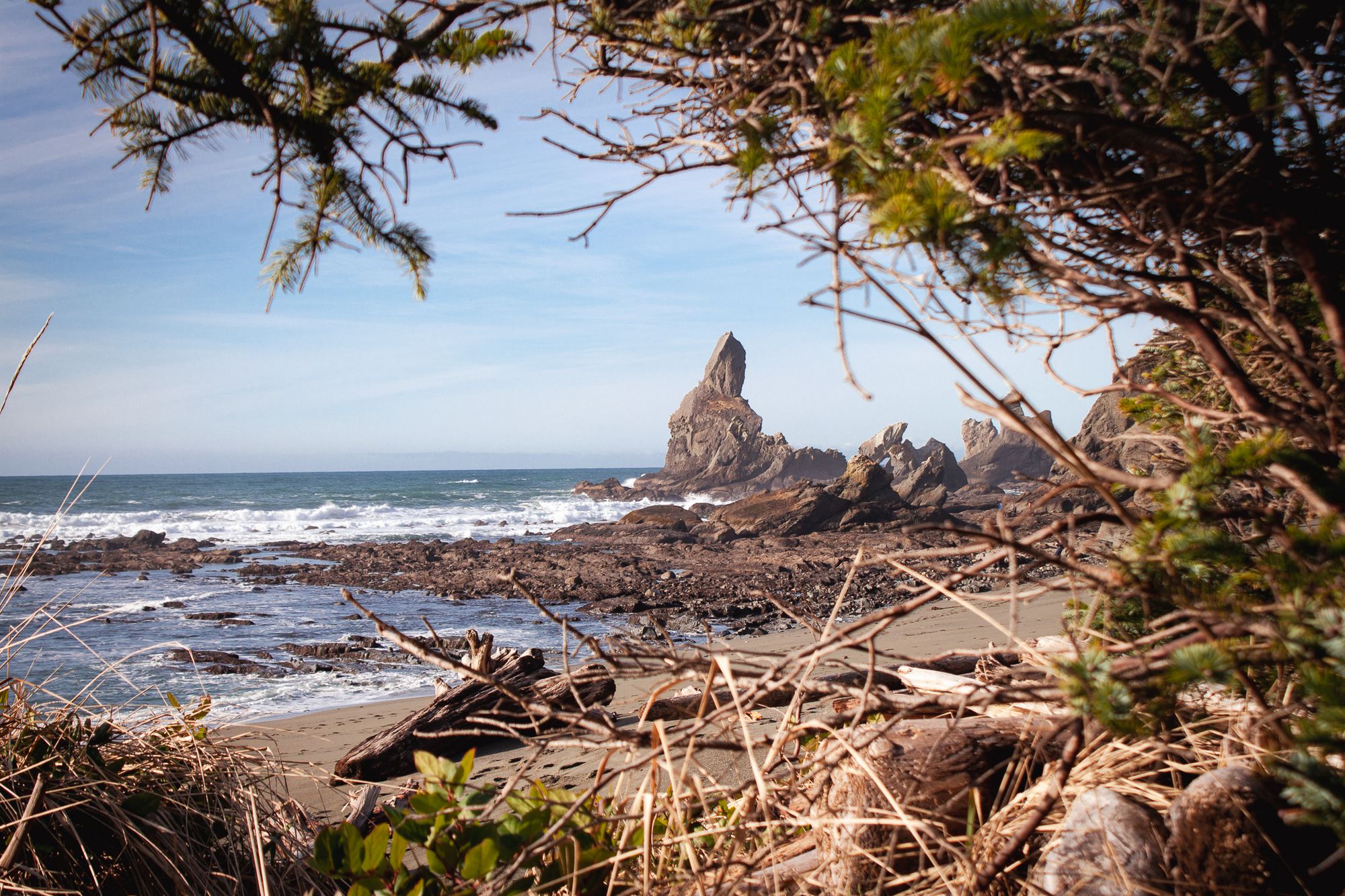 Shi Shi Beach, Olympic National Park